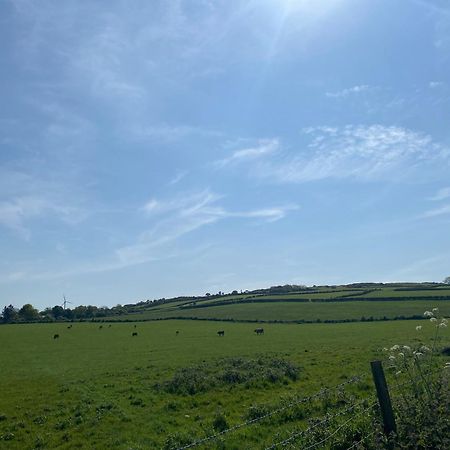 Carncastle Ballymullock Barn Lofts חדר תמונה