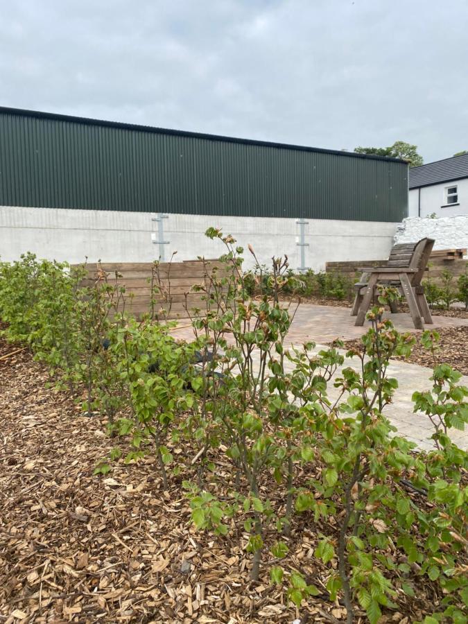 Carncastle Ballymullock Barn Lofts מראה חיצוני תמונה