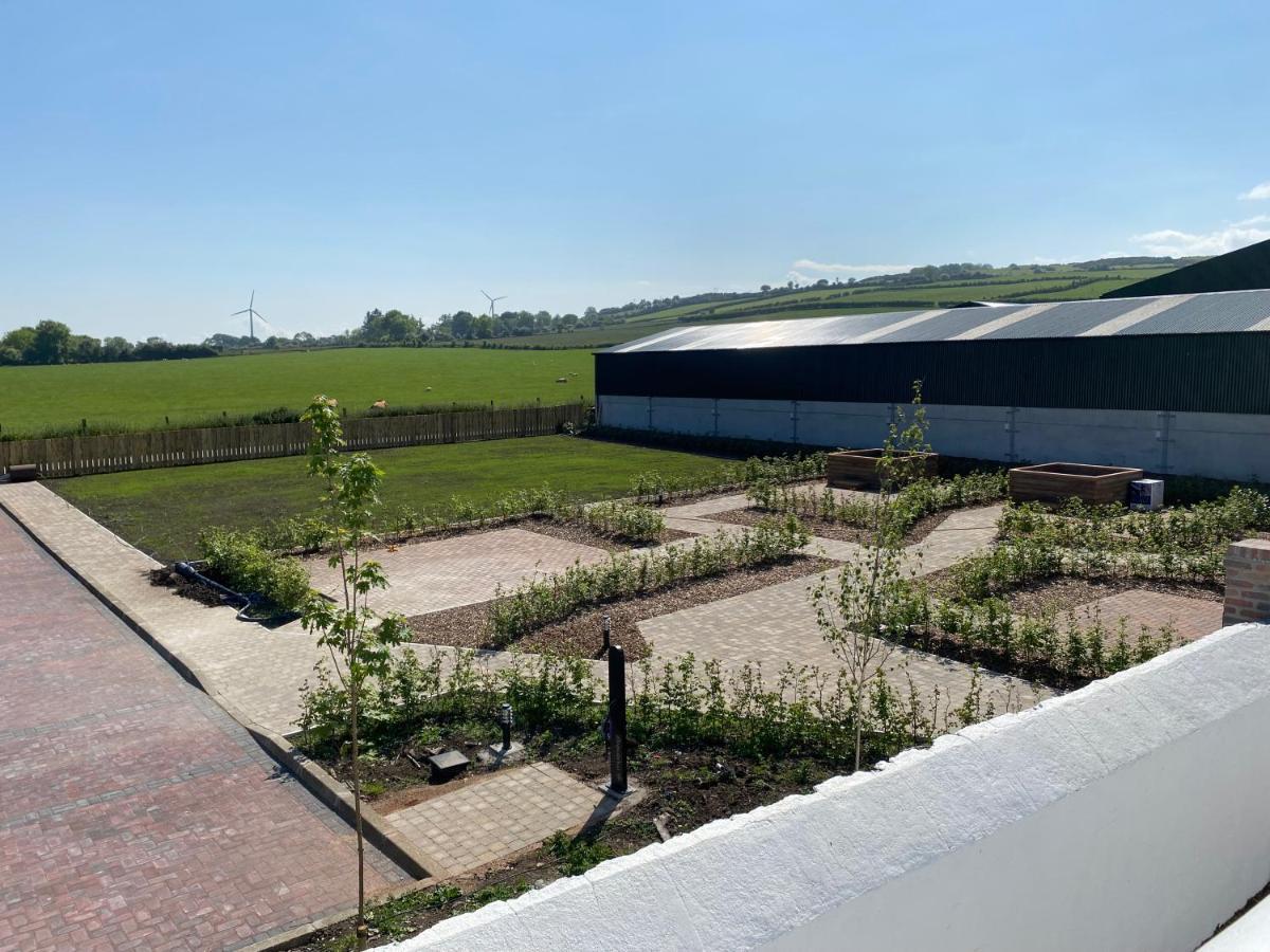 Carncastle Ballymullock Barn Lofts מראה חיצוני תמונה