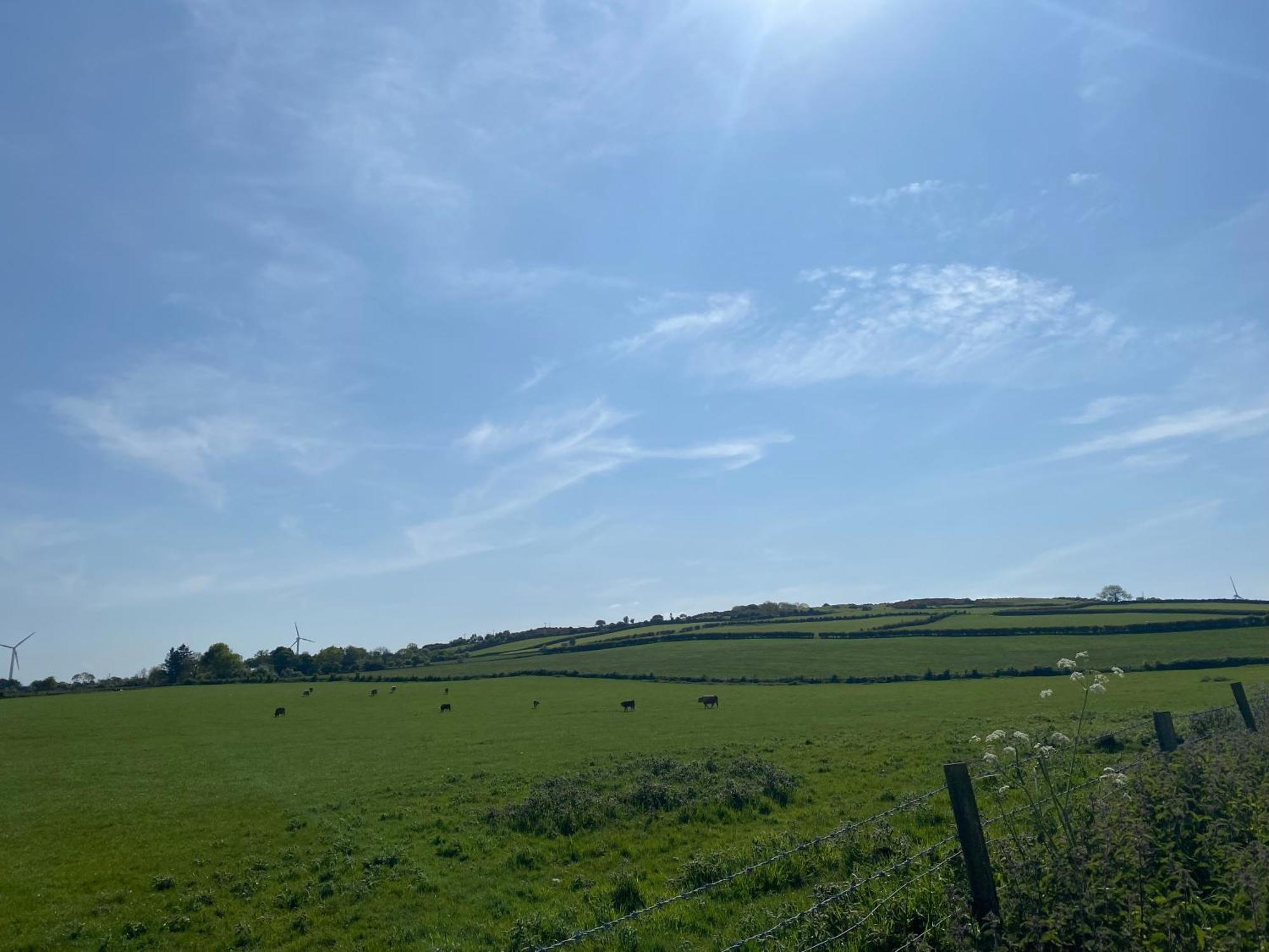 Carncastle Ballymullock Barn Lofts חדר תמונה